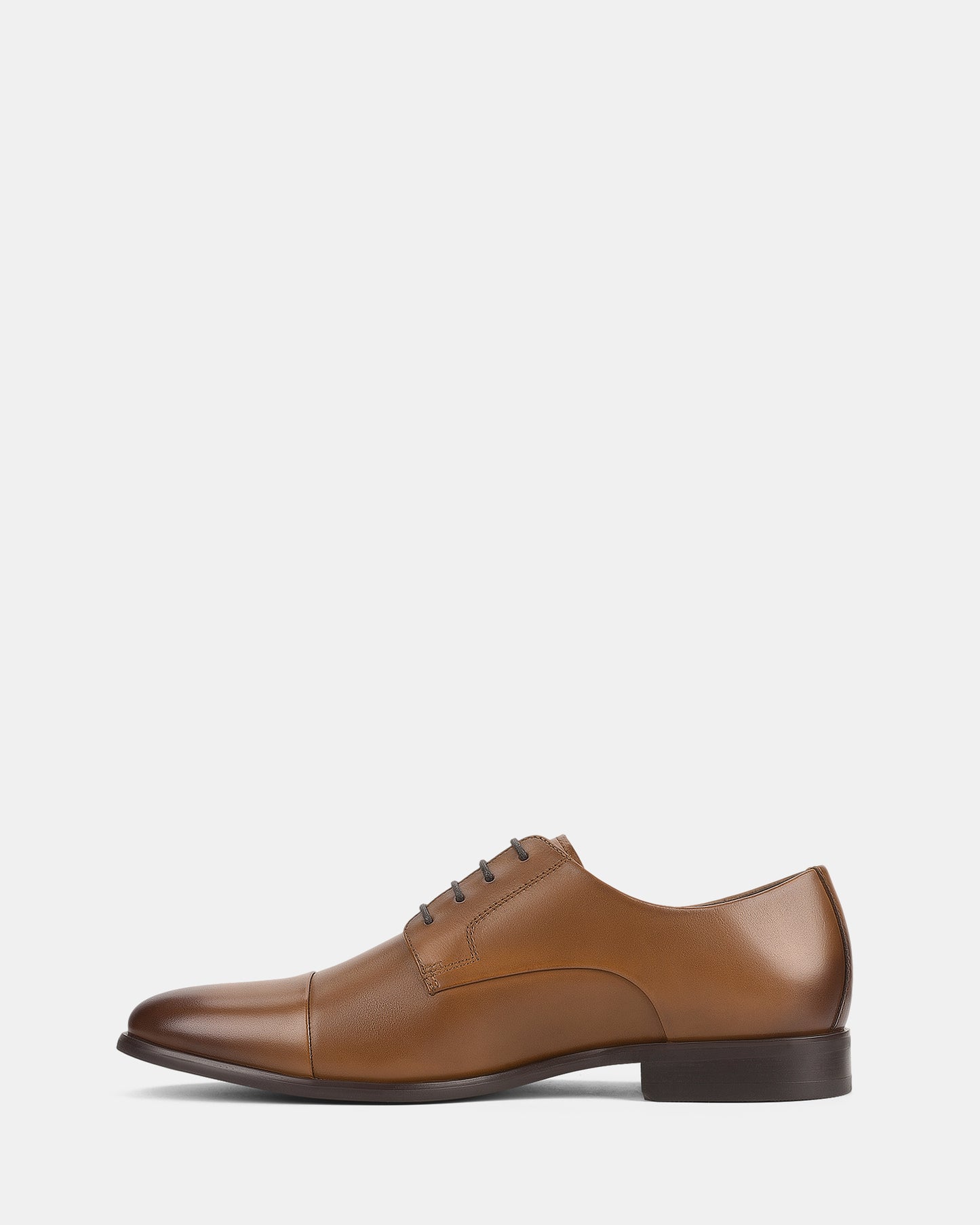 Axiom Cognac
