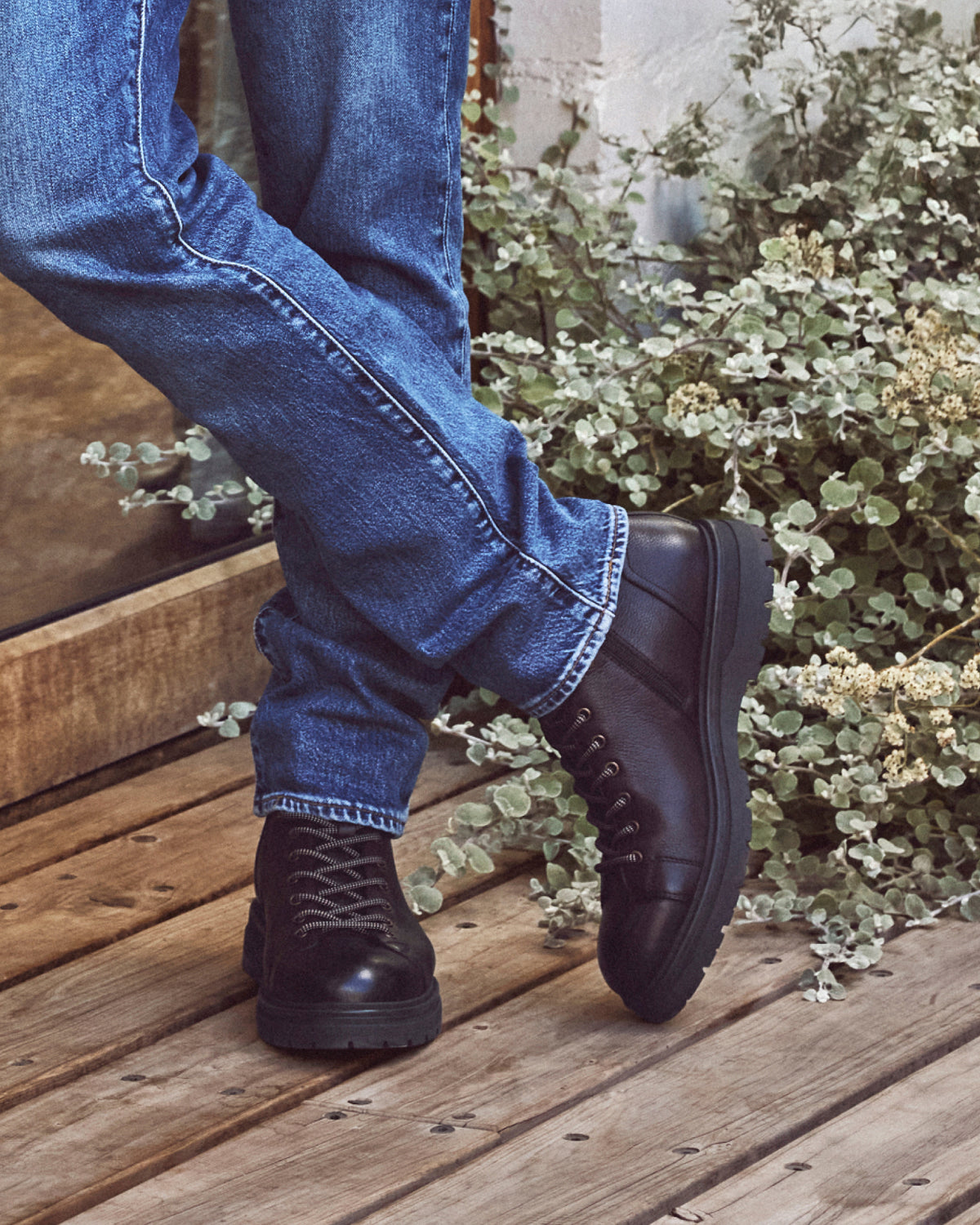 Hedge Dark Brown