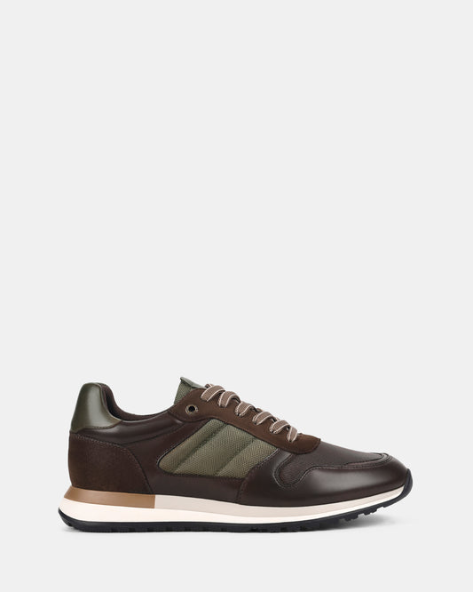 Ignite Olive Multi
