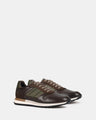 Ignite Olive Multi